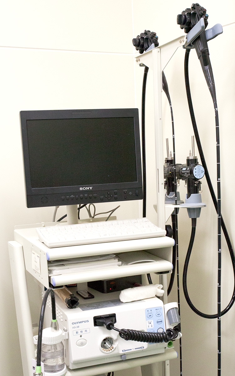 消化管内視鏡医療機器